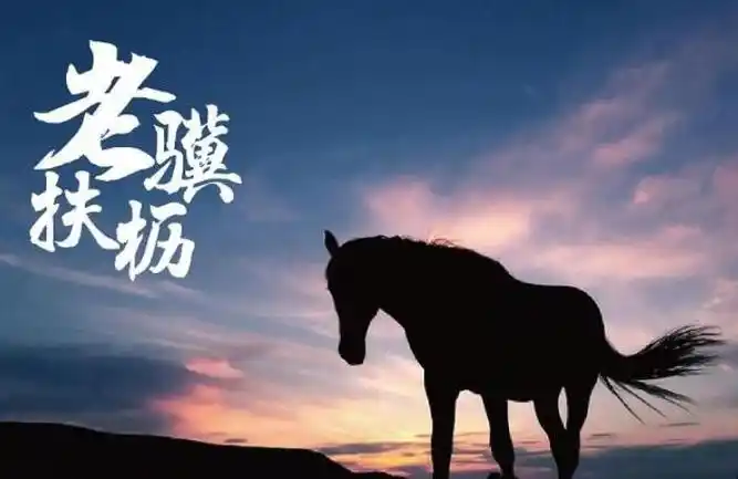 老骥伏枥什么意思